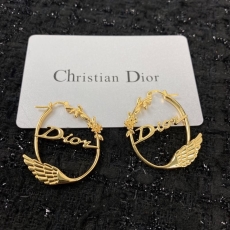 Unclassified Brand Earrings